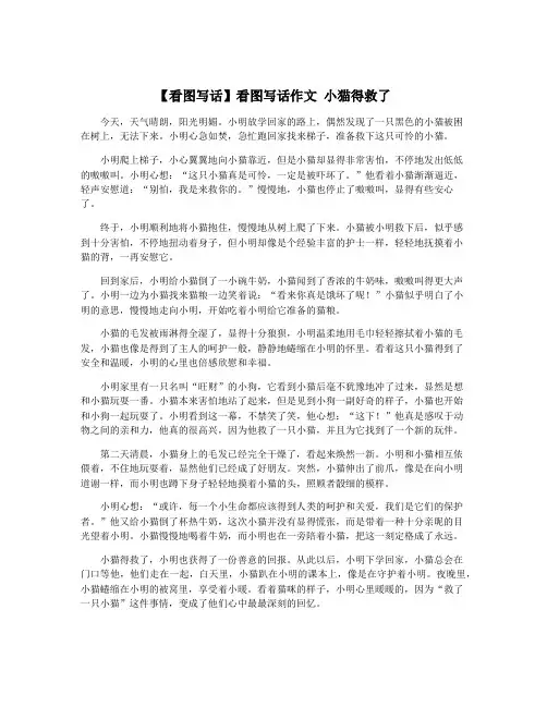 【看图写话】看图写话作文 小猫得救了