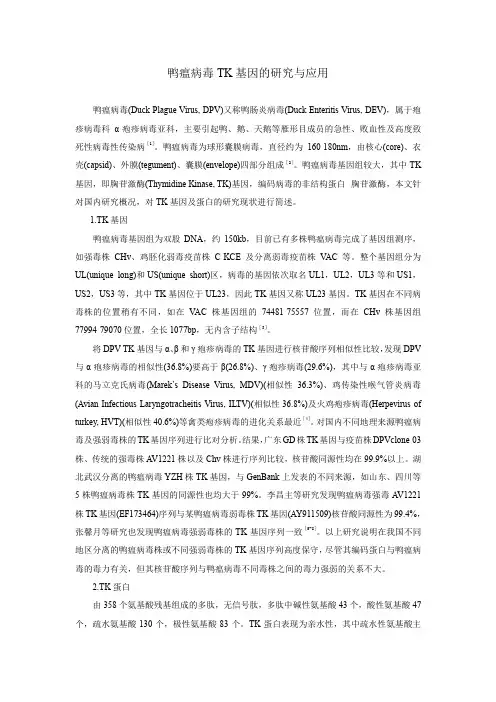 鸭瘟病毒TK基因的研究与应用