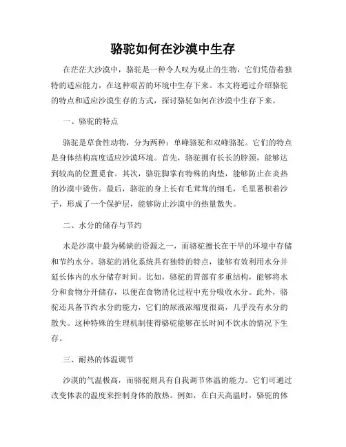 骆驼如何在沙漠中生存