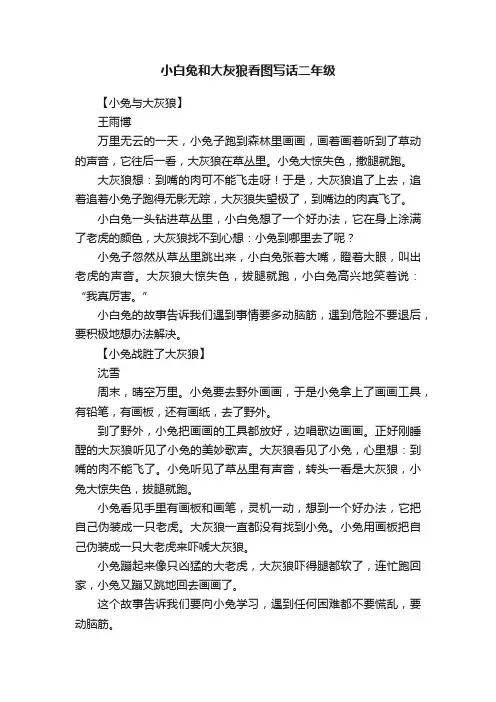 小白兔和大灰狼看图写话二年级