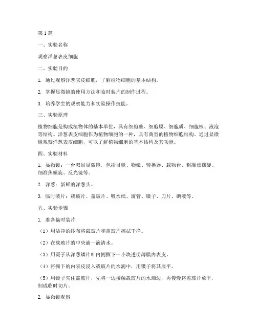 洋葱镜检实验报告(3篇)