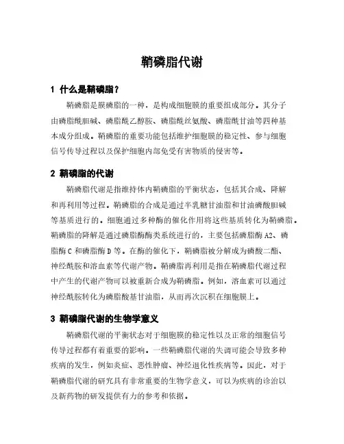 鞘磷脂代谢