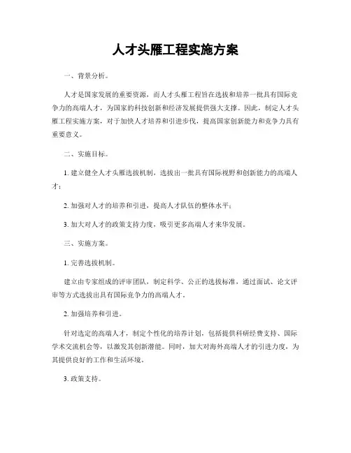 人才头雁工程实施方案