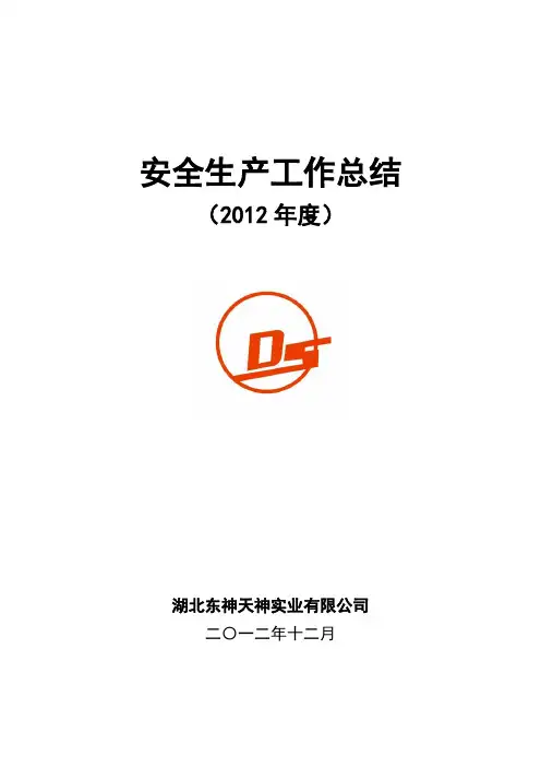 2012年安全生产工作总结
