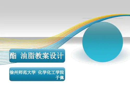 酯 油脂教案设计