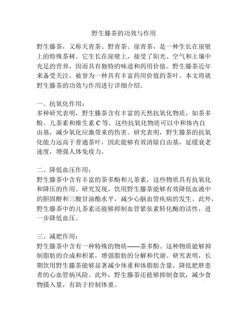 野生滕茶的功效与作用