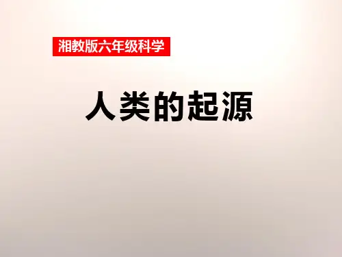 《人类的起源》PPT课件