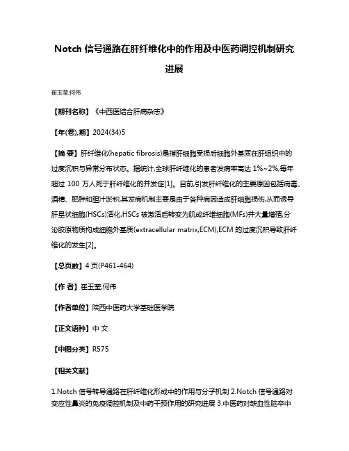 Notch信号通路在肝纤维化中的作用及中医药调控机制研究进展