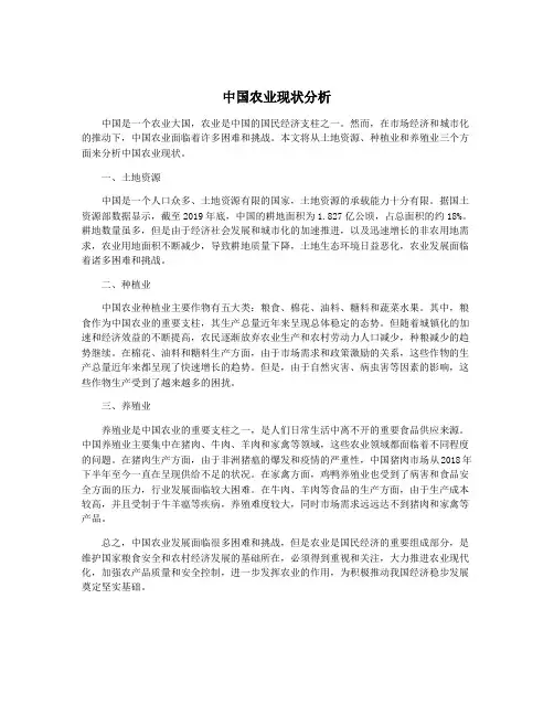 中国农业现状分析