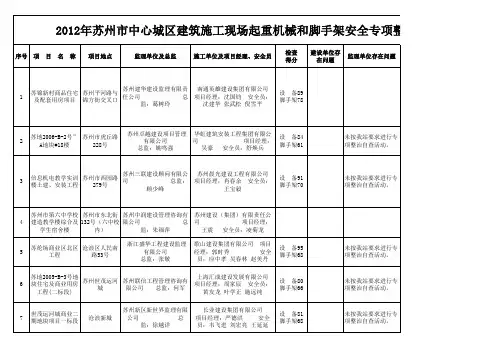 安全专项整治检查项目(1)