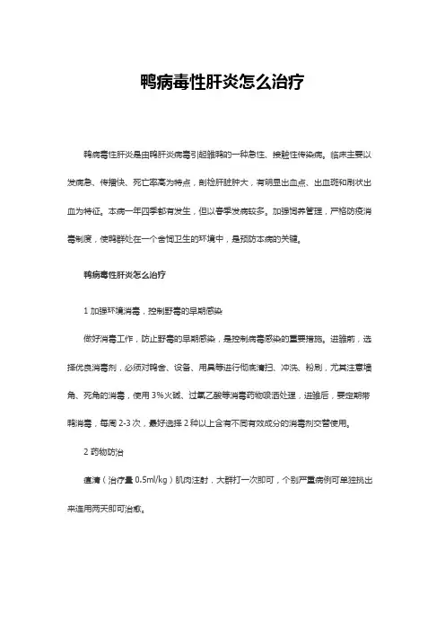 鸭病毒性肝炎怎么治疗