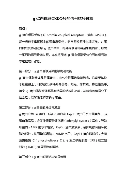 g蛋白偶联受体介导的信号转导过程