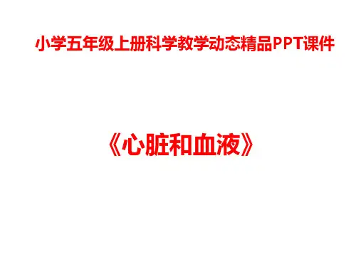 小学五年级上册科学《心脏和血液》PPT课件精选