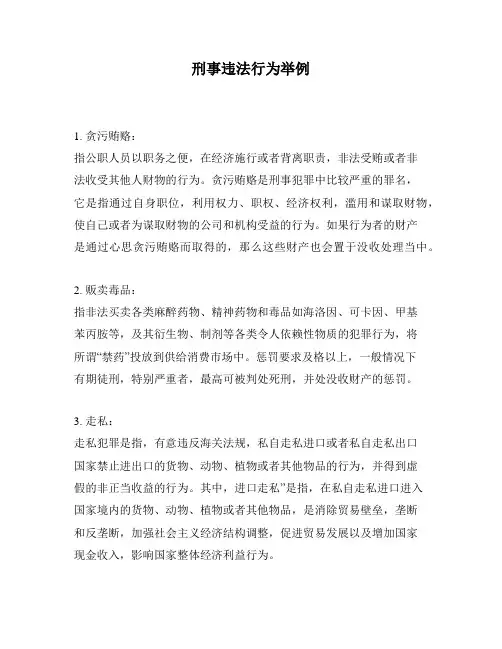 刑事违法行为举例