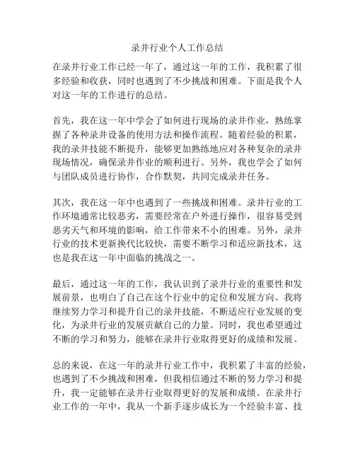 录井行业个人工作总结