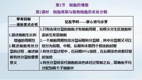 新教材高中生物第6章第1课时细胞周期与植物细胞的有丝分裂pptx课件新人教版必修1