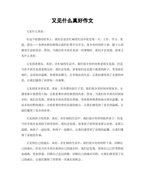 又见什么真好作文