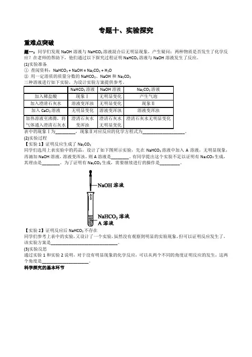 2018中考化学专题十、实验探究