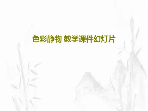 色彩静物 教学课件幻灯片共48页