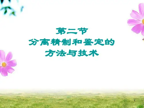 天然产物化学02-2__分离和鉴定 (2)