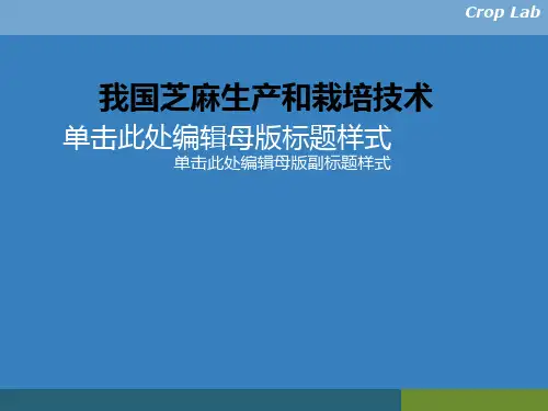 我国芝麻生产和栽培技术
