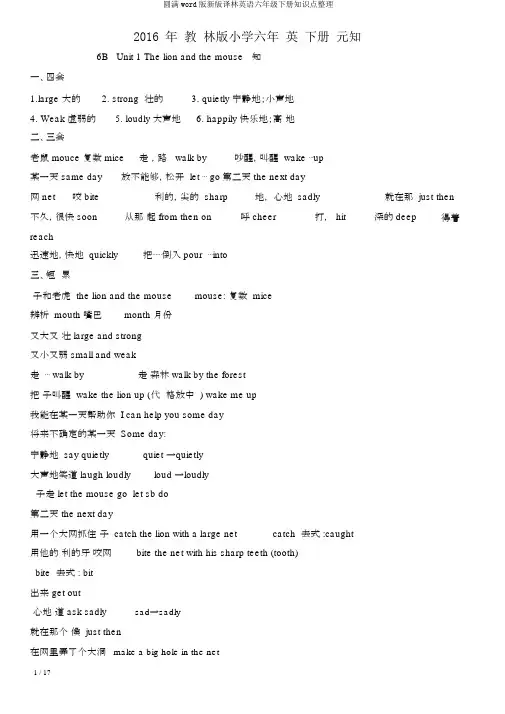完整word版新版译林英语六年级下册知识点整理