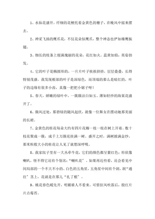 描写花朵美丽的句子精选