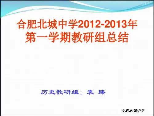 2012—2013学年第一学期高一历史教研组工作总结-合肥北城中学