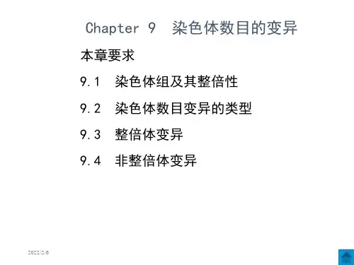 9染色体数目变异知识分享