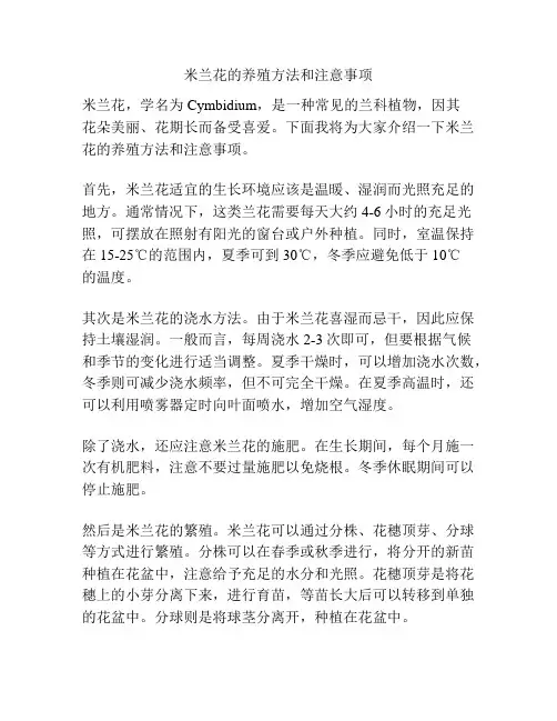 米兰花的养殖方法和注意事项