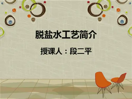 脱盐水工艺简介 ppt课件