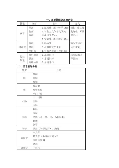 体表标志 文档