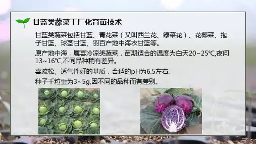 248.2甘蓝工厂化育苗技术