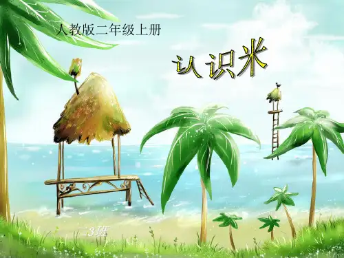 认识米PPT教学课件