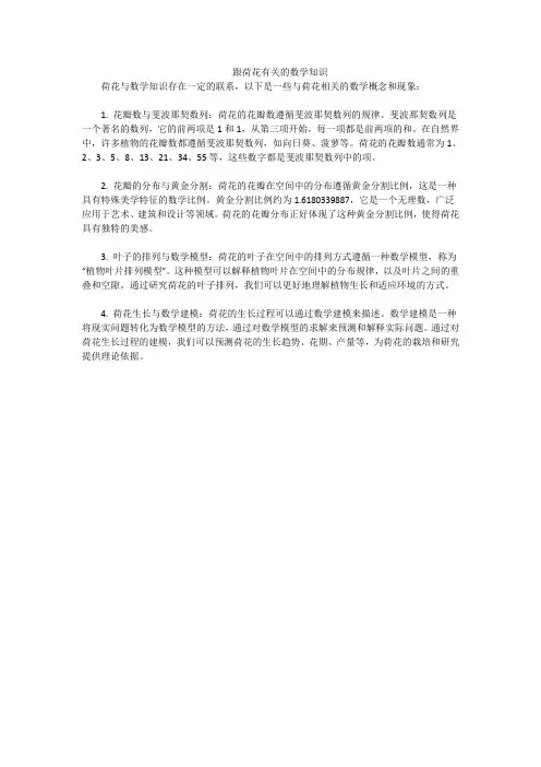 跟荷花有关的数学知识