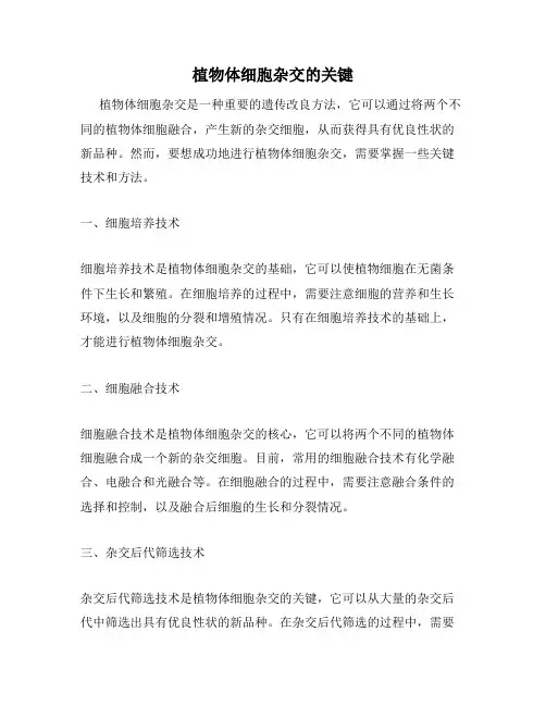 植物体细胞杂交的关键