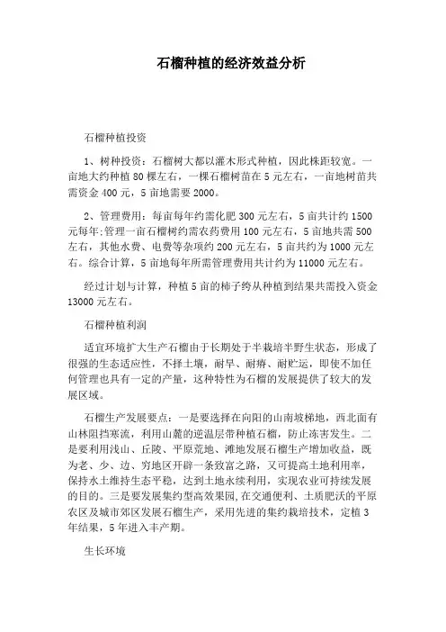 石榴种植的经济效益分析