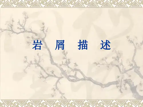 岩屑描述