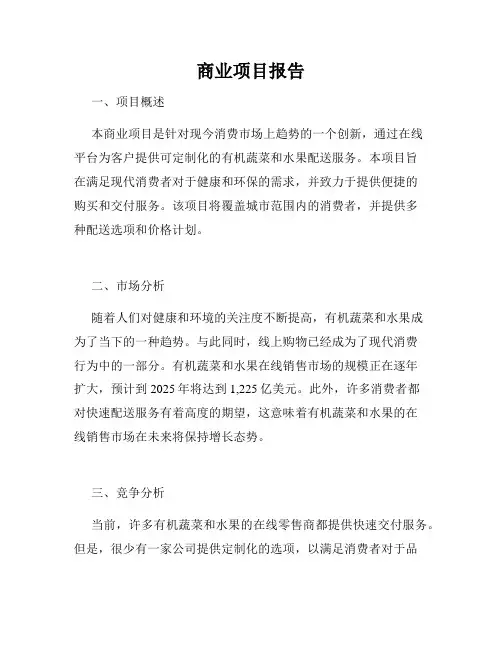 商业项目报告