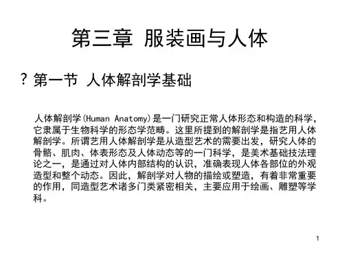服装画与人体演示幻灯片