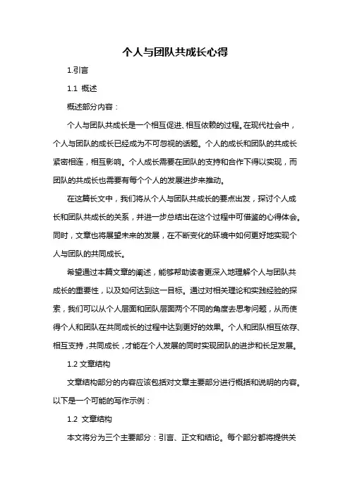 个人与团队共成长心得