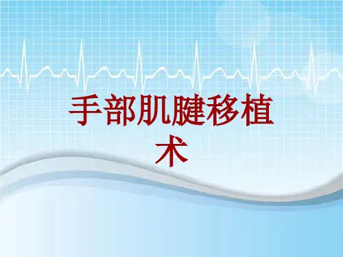 手术讲解模板：手部肌腱移植术