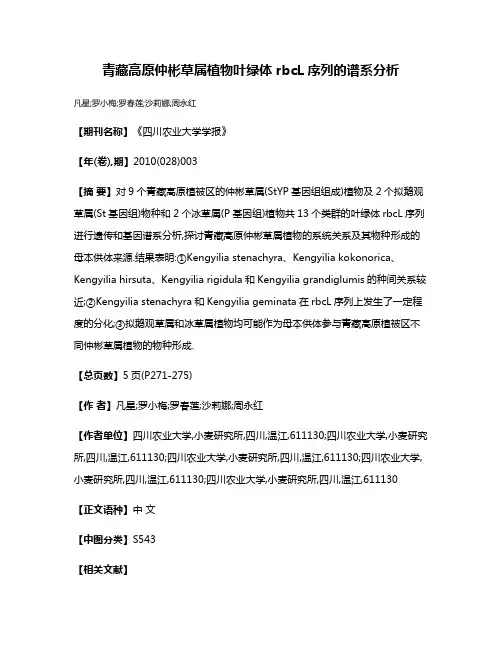 青藏高原仲彬草属植物叶绿体rbcL序列的谱系分析
