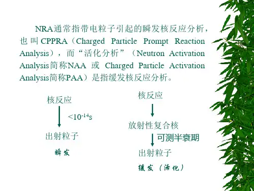 核分析原理及技术