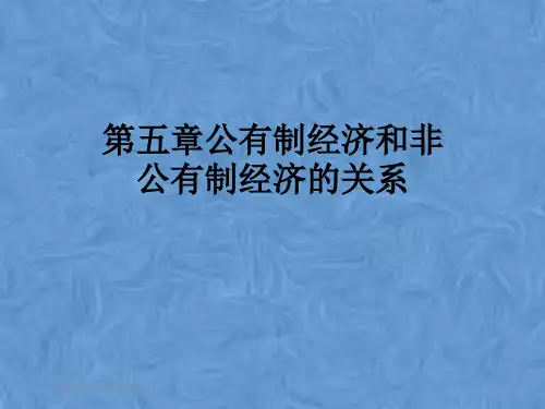 第五章公有制经济和非公有制经济的关系