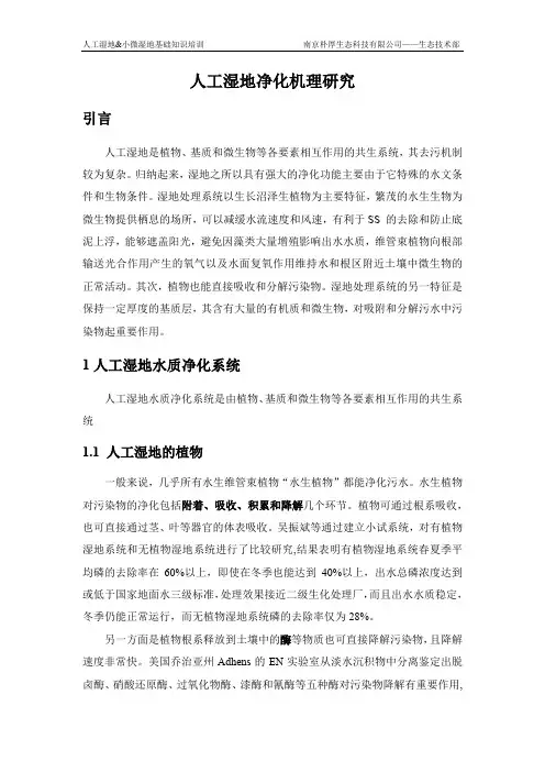 人工湿地水质净化机理