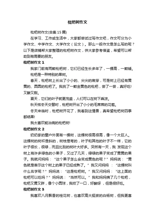 枇杷树作文