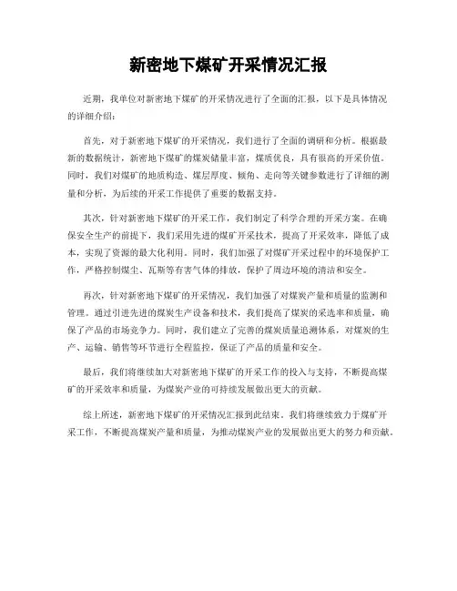 新密地下煤矿开采情况汇报
