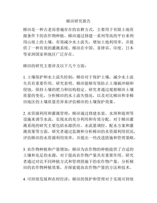 梯田研究报告