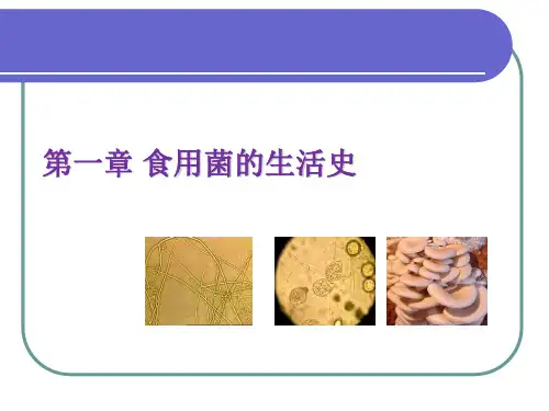 食用菌育种学-第一章 食用菌的生活史